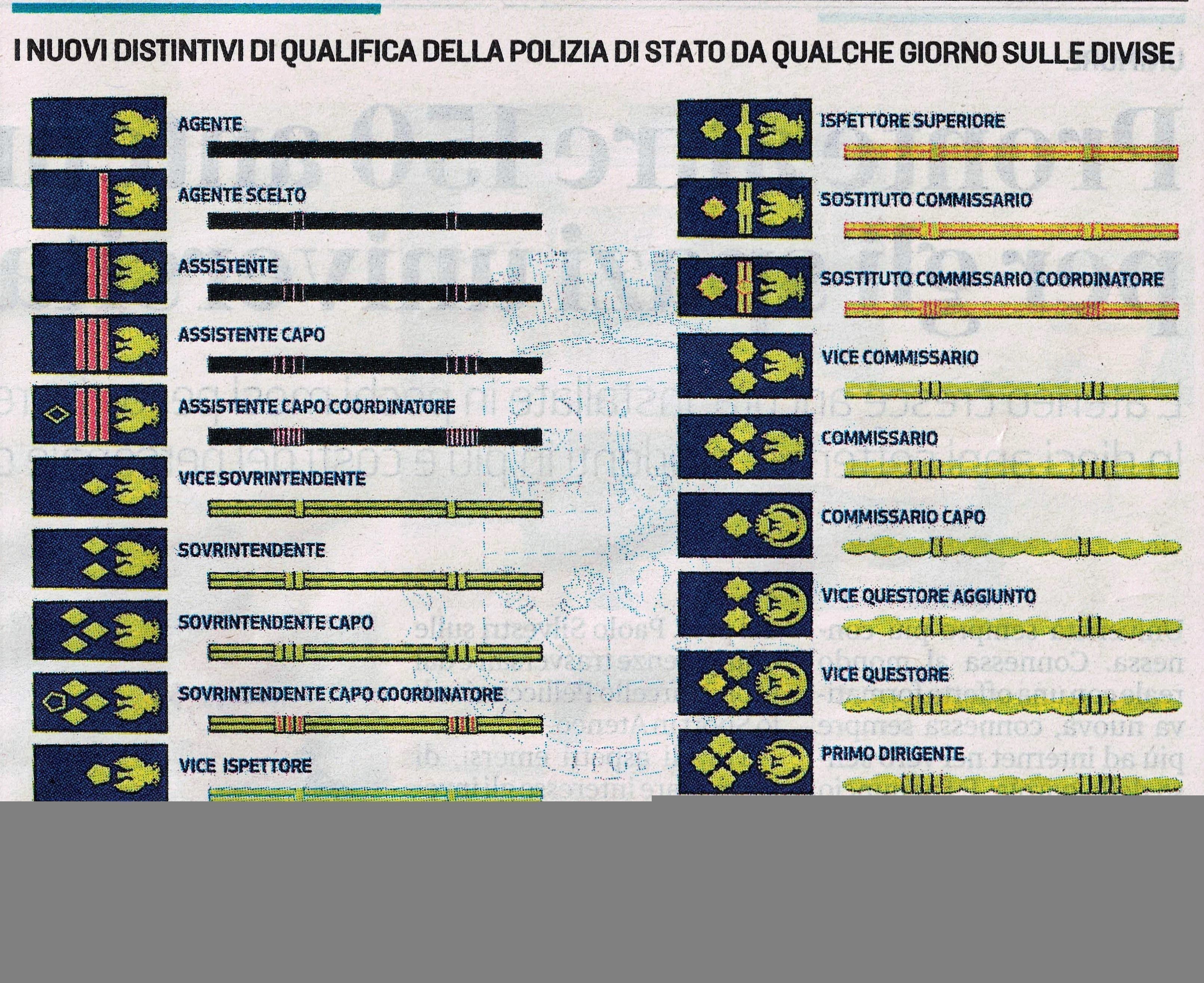 Gradi in polizia deals